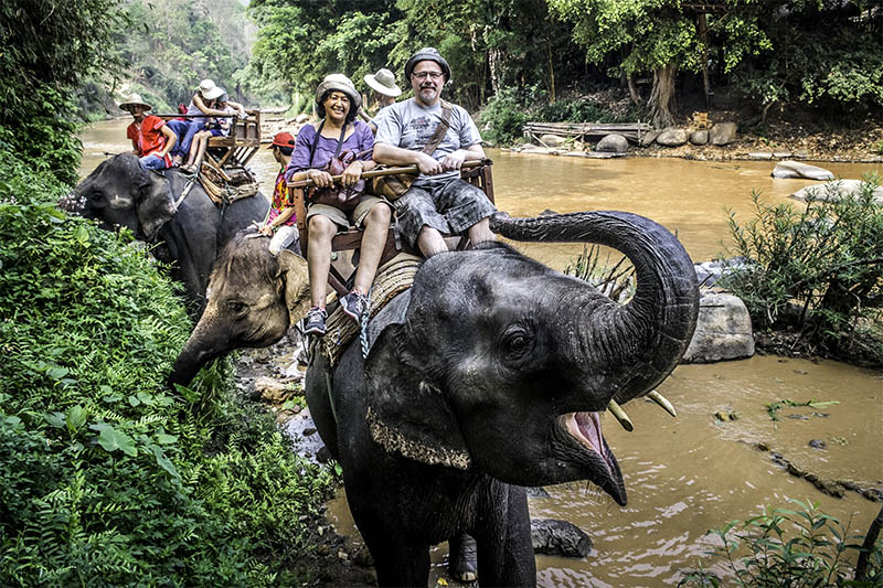 Elephant Camp