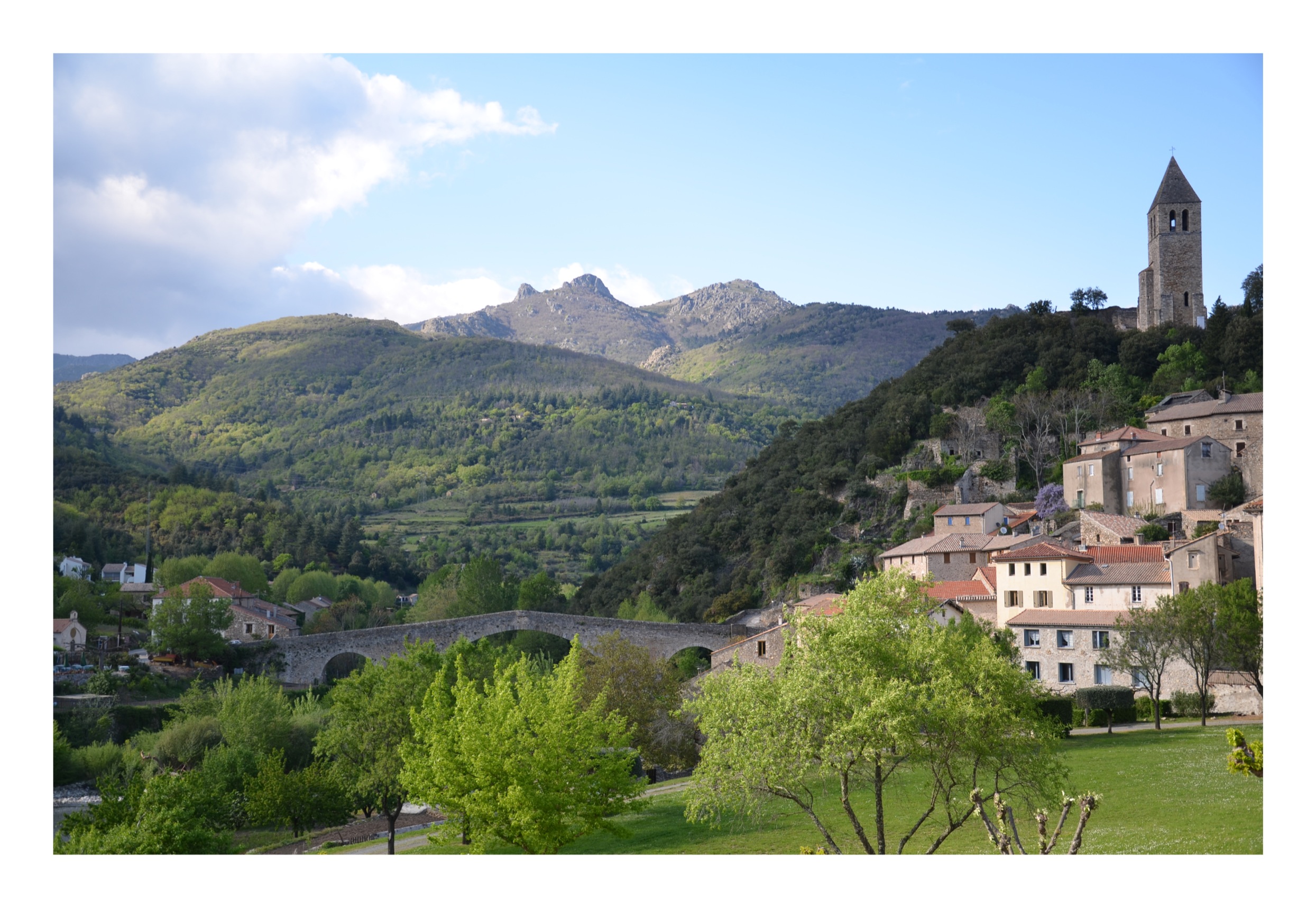 Olargues - Haut Languedoc 