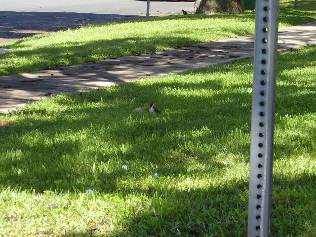 P5110040.JPG