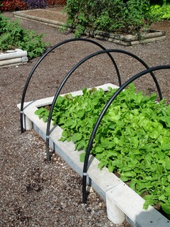 medium_hoops.over.raised-bed.JPG