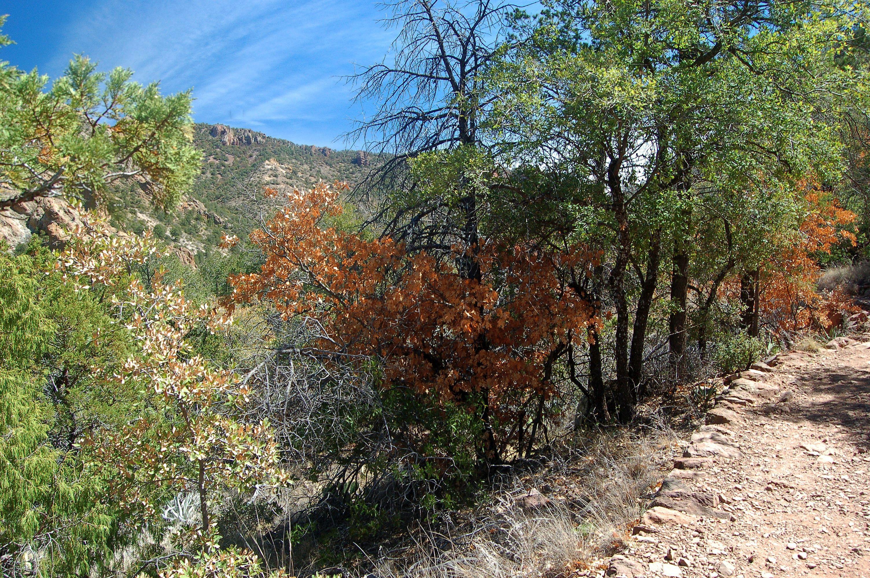 DSC_2204.JPG