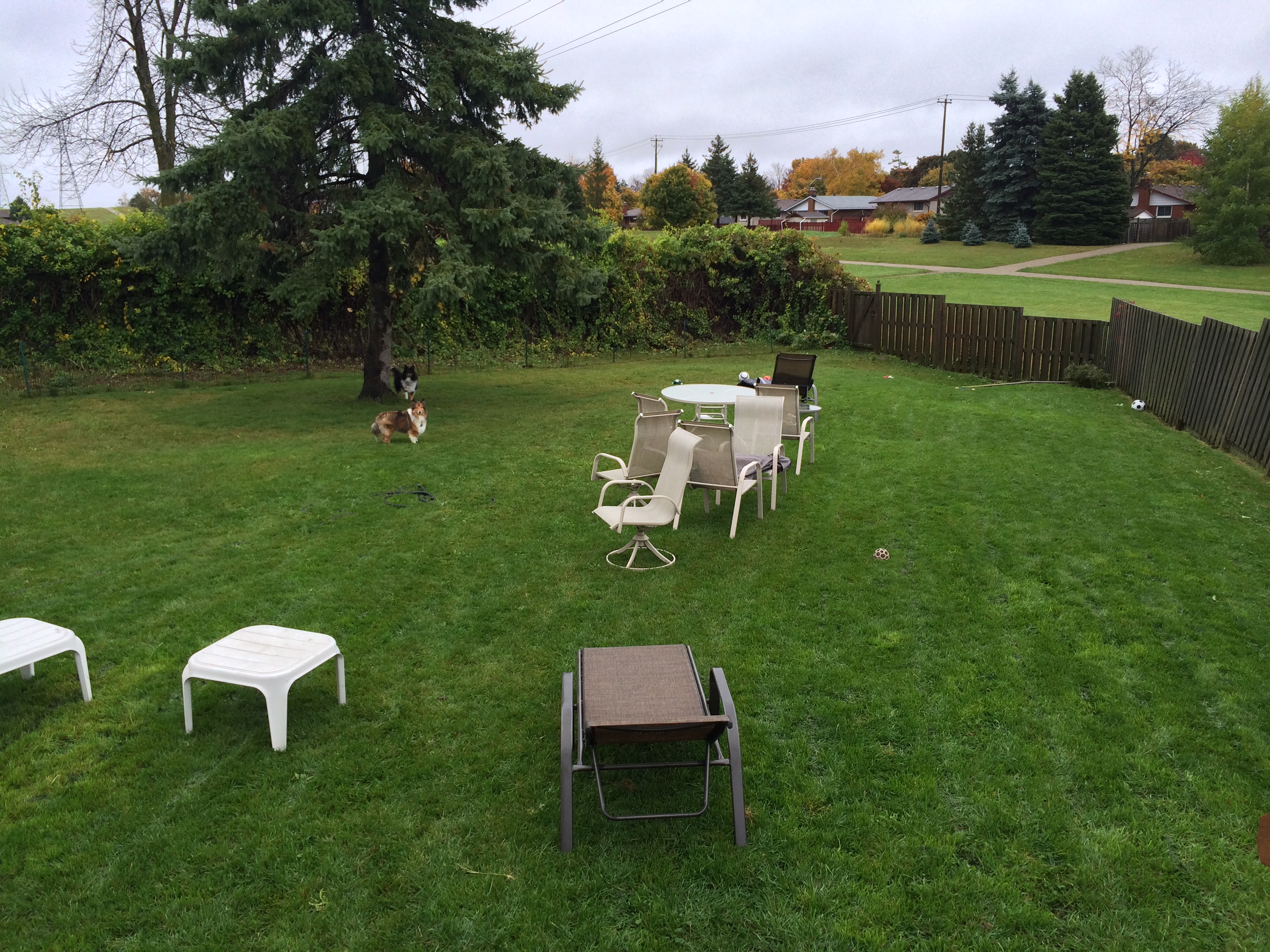 Wet Autumn Day
