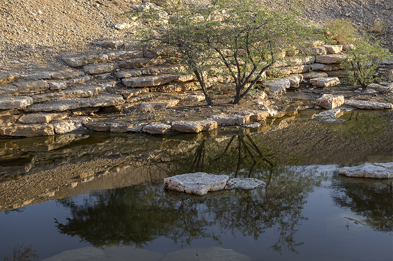 The wadi (5)