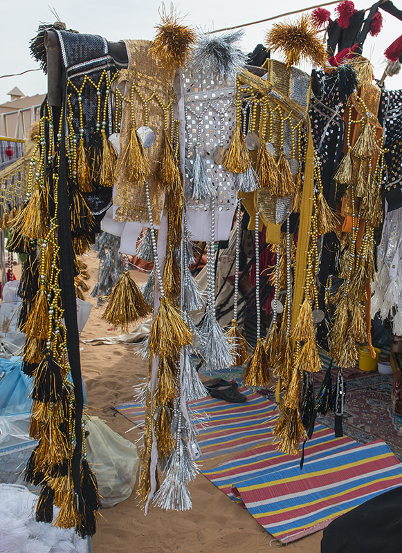Camel gear at the souk (3/8)