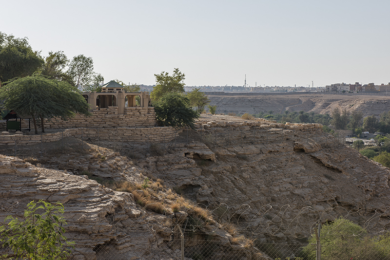 Al Sabaa Garden