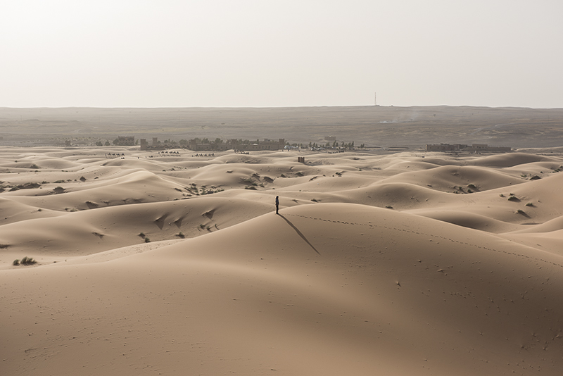 Dunes under the Sahara sun