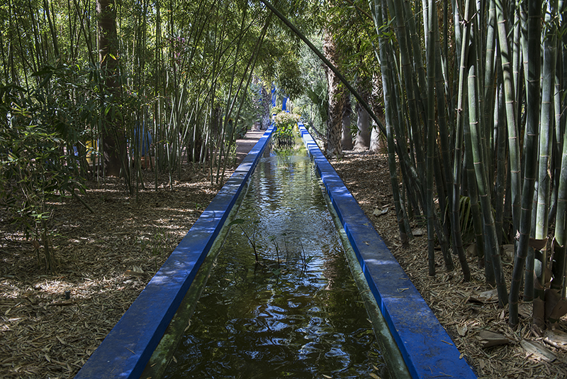 Marrakech, Majorelle Garden