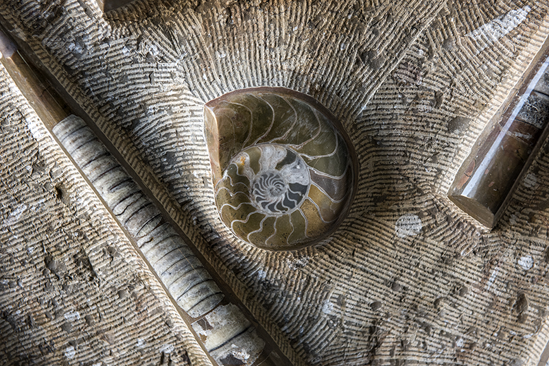 Erfoud, fossil workshop