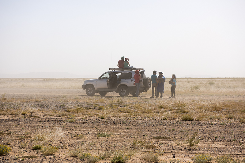 Sahara Desert, caravan