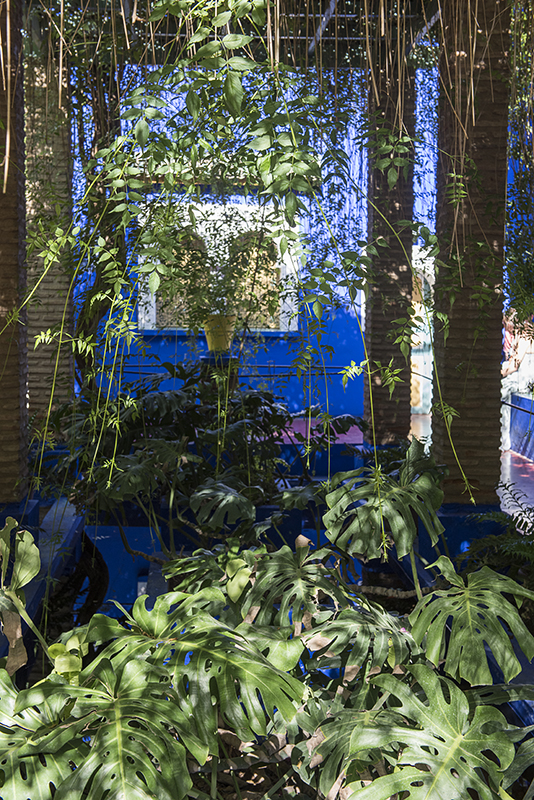 Majorelle Garden