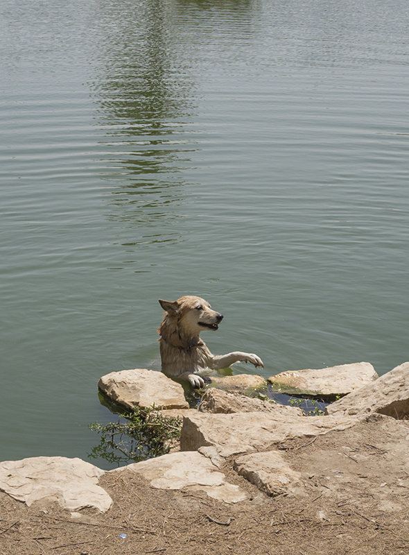 Sahraa learns to swim (1)