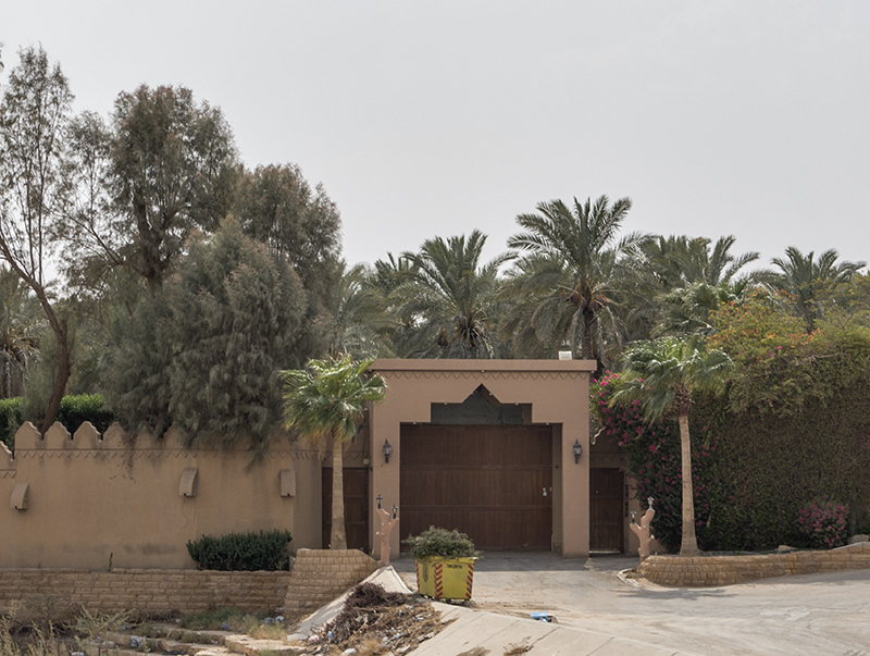 Wadi Hanifa: Gate and cactus lights