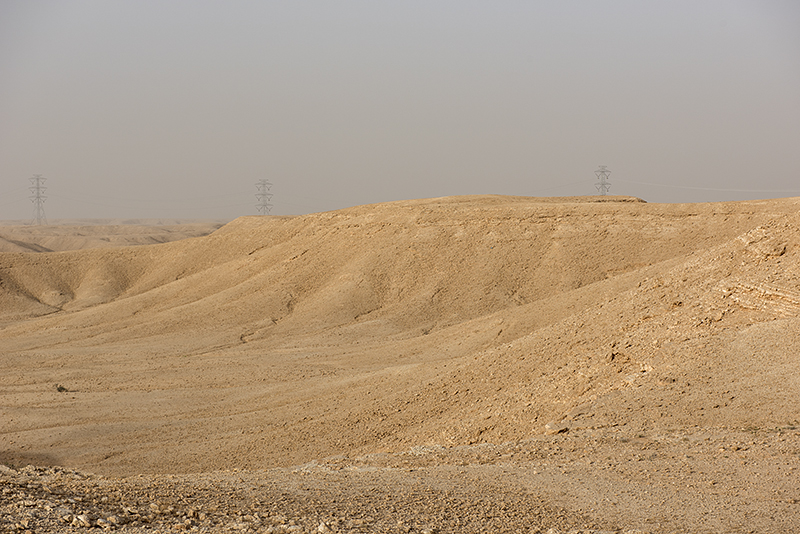 Monkey quest: Dry and desolate