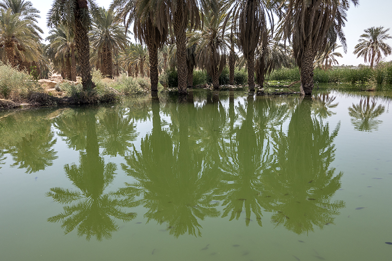 One more reflection...