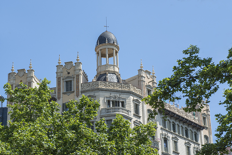 Towering above the trees