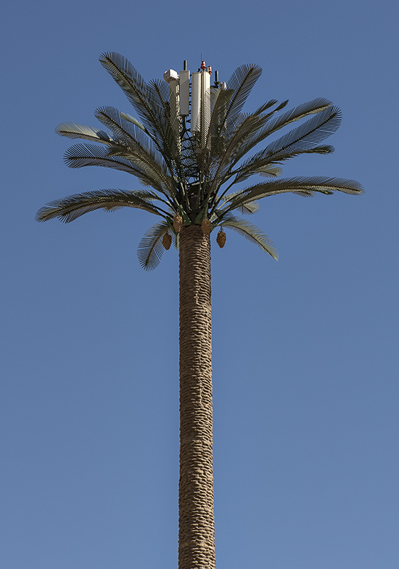 Cell tower in disguise