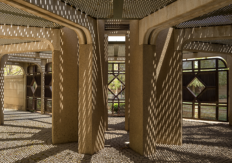 Shadows at Al Yamamah Garden