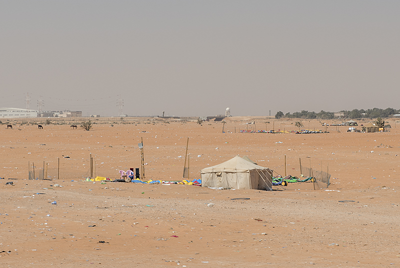 City in the desert (1)