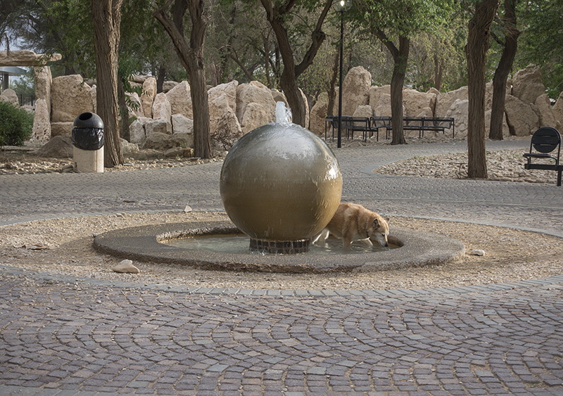 Fountain weather again