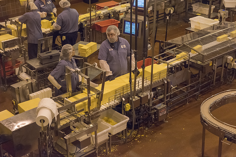 Tillamook Cheese (3)