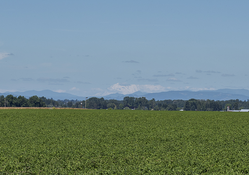 Three mountains: Mount Adams