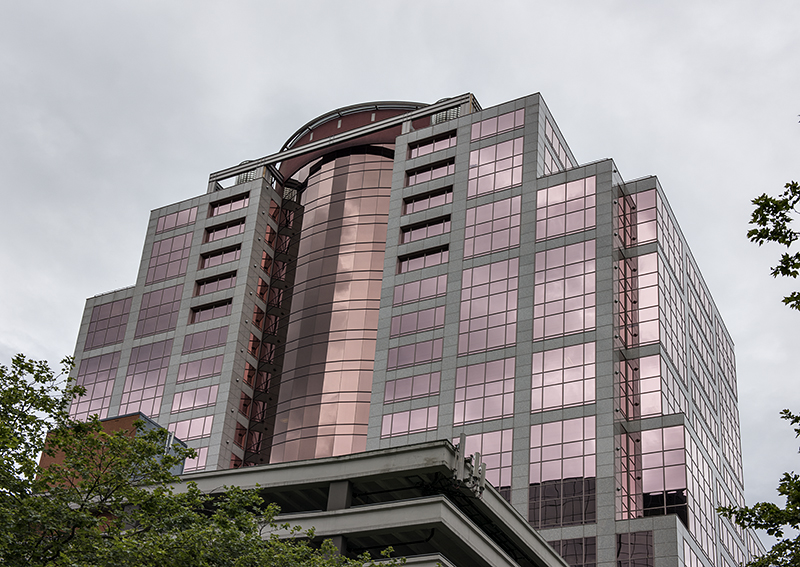 The rose building