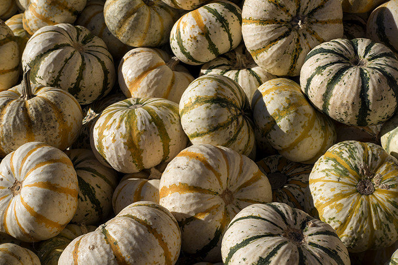 Seasonal spirit (2)