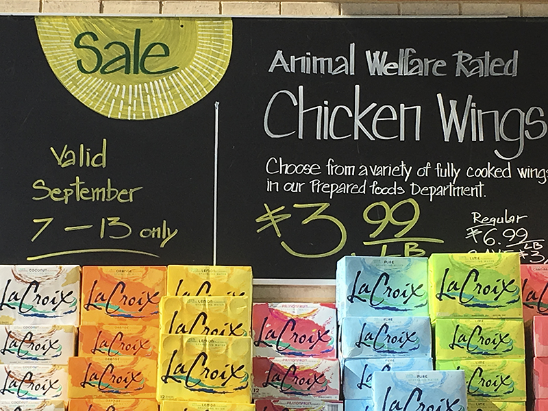 Animal welfare rated