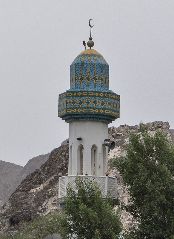 Elaborate minaret