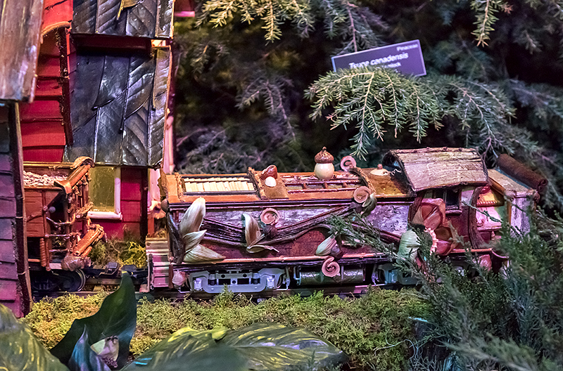 The snow plow engine, detail