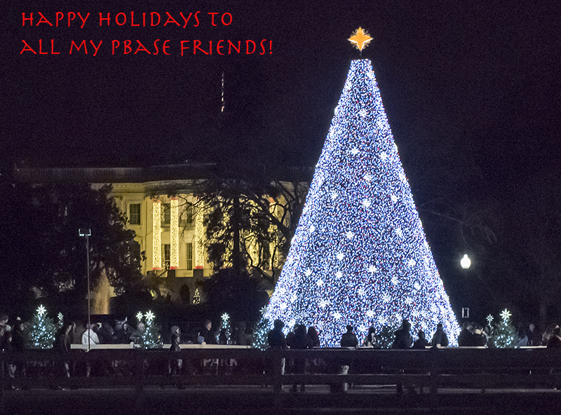 Seasons greetings from Washington