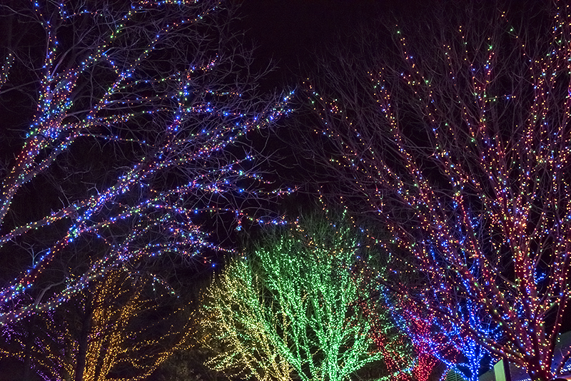 ZooLights at the National Zoo