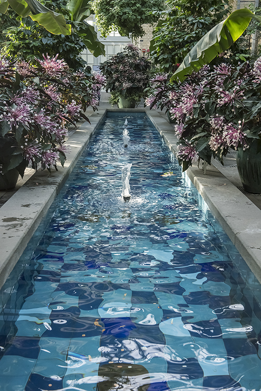 New flowers at US Botanic Garden
