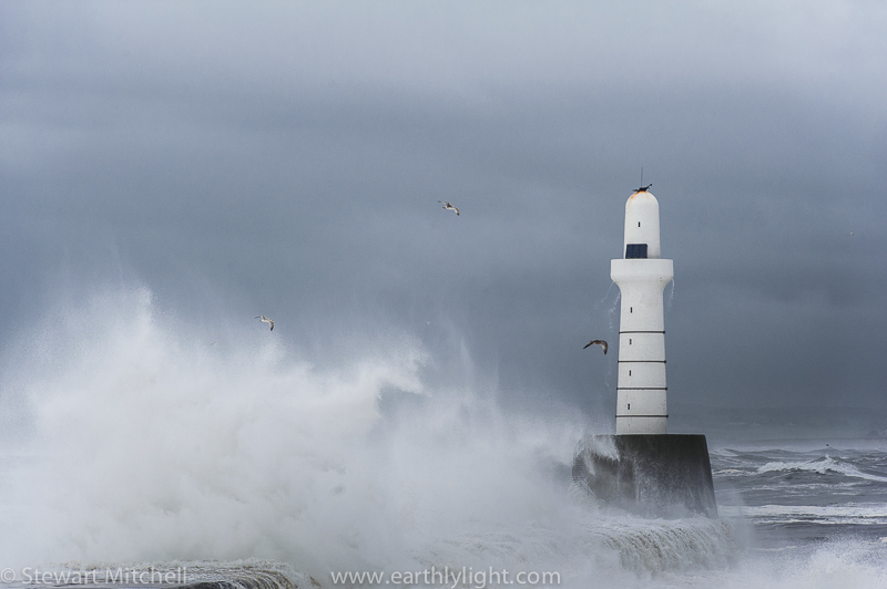 Wave 2014_5_SM31182.jpg