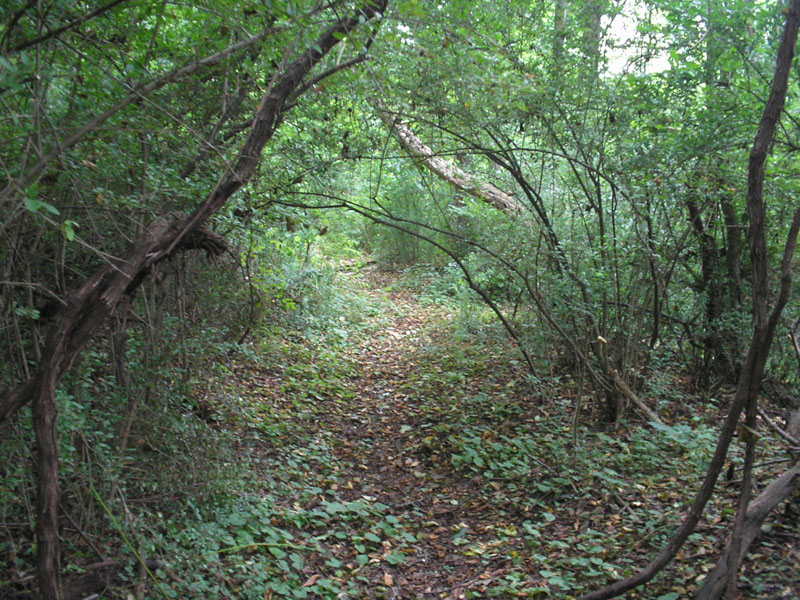P1010015.JPG