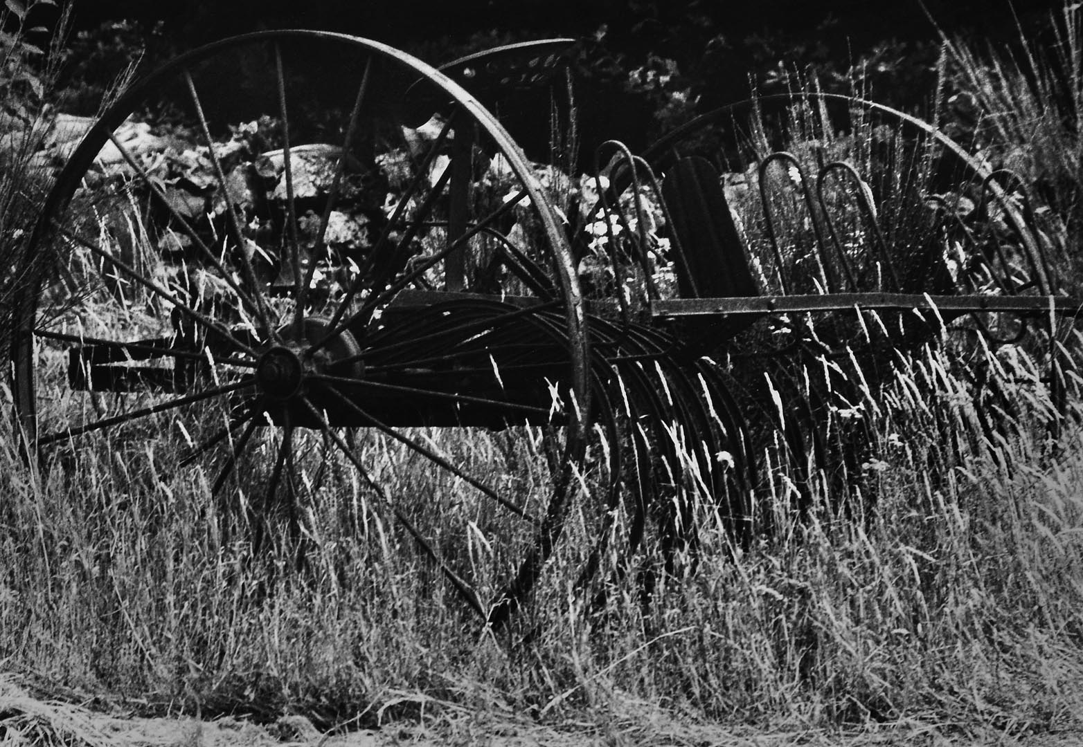 In Lombron environment, Sarthe Department, near Le Mans