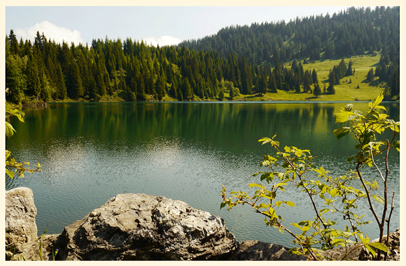 Lac de Chavonnes