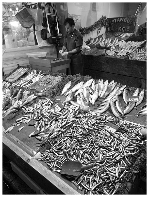 fresh fish