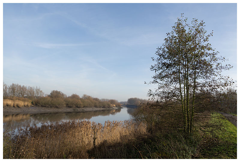 de Schelde