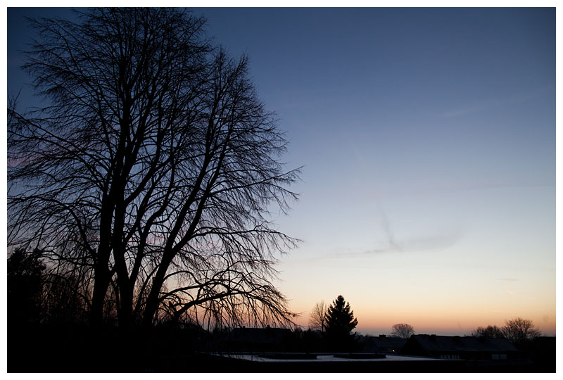 dawn