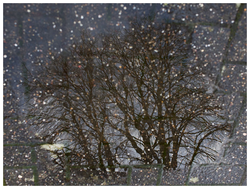 reflection