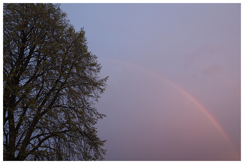 rainbow at sundown