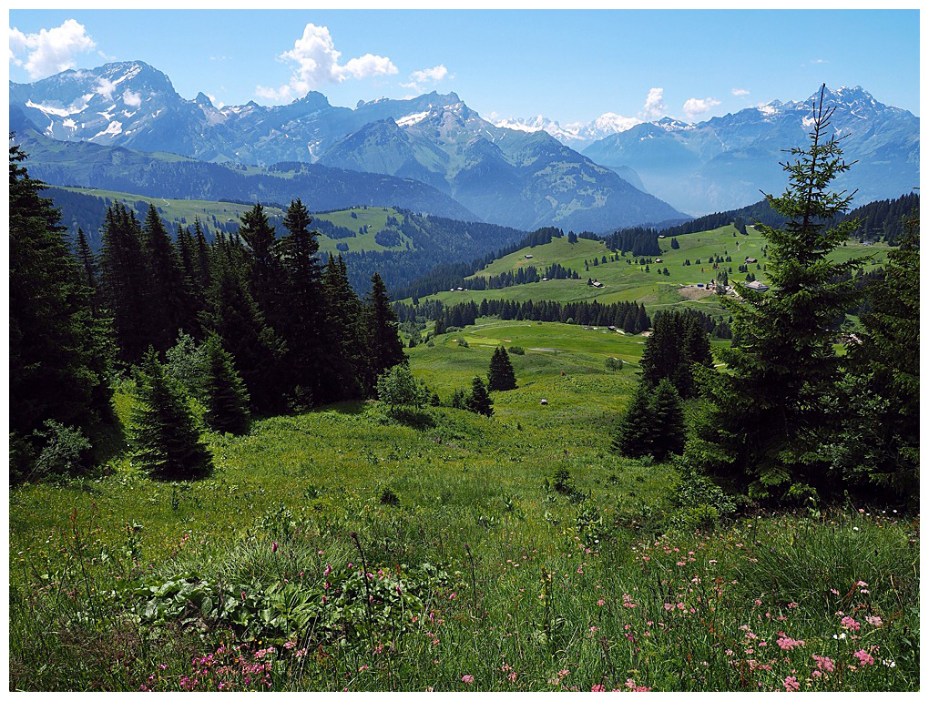 Chablais Vaudois