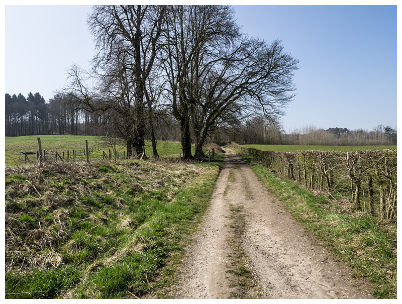Altenbroek
