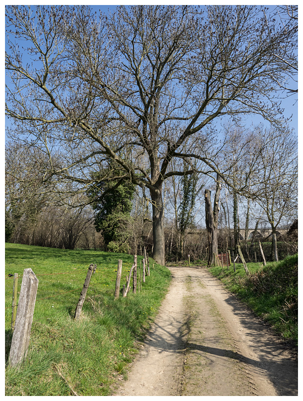 Sint-Martensvoeren