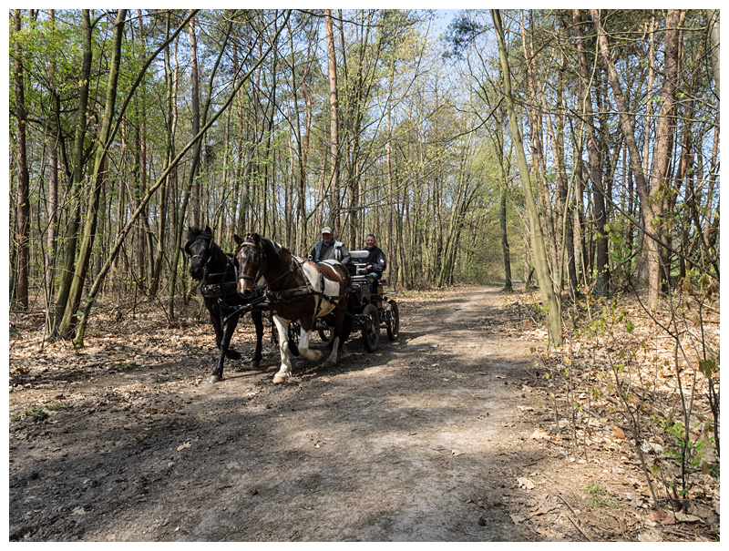 Roelerheide