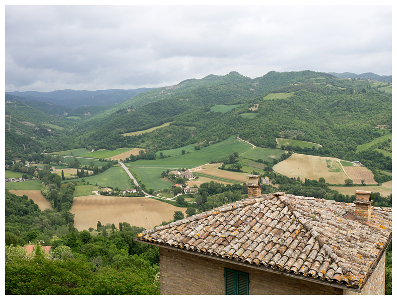 Montone - I