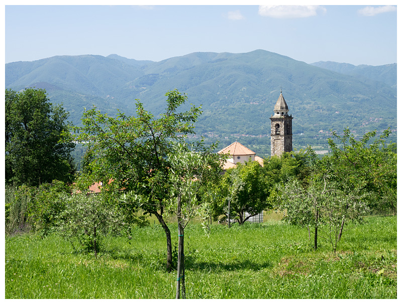 Orturano