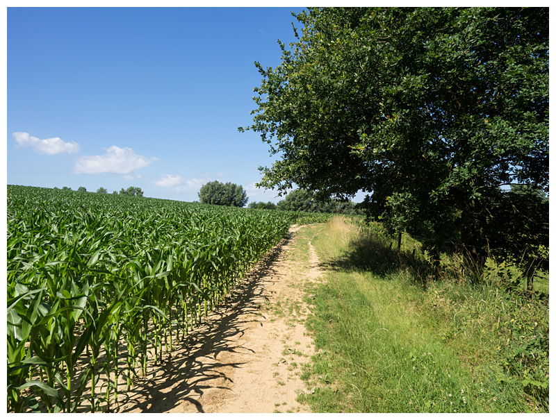 omgeving Broekebeek
