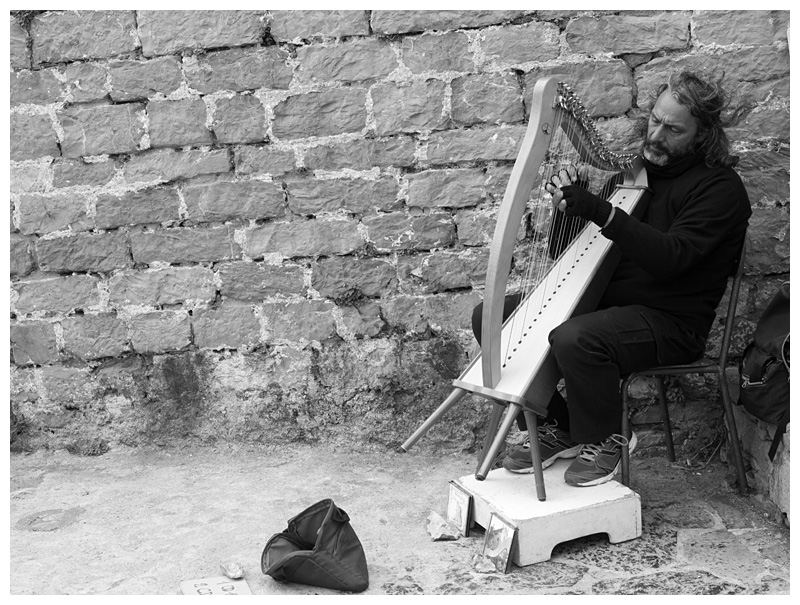 harp